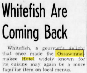 Hotel Ossawinamkee - Apr 17 1961 Article (newer photo)